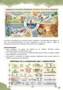 3.webp